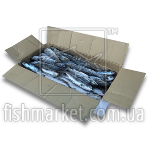 Лосось с/г с/м IQF 500+ Aqualine (CAN)