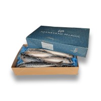 Скумбрія з/г с/м 600+ Fosnavaag Pelagic (NOR) 10 кг