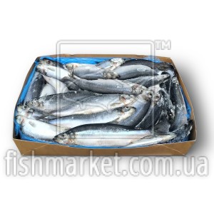 Сельдь с/г с/м 350+ Westcoast (NOR) (20 кг)