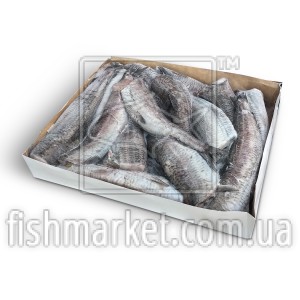 Аргентина б/г с/м 200+ Rammi (ISL) (2*8 кг)