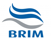 Brim Brim