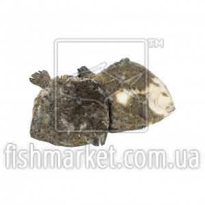 Камбала Тюрбо с/м 400-600 CYPESCA (ESP)