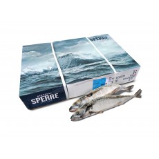 Скумбрия с/г с/м 500-600 Brodrene Sperre (NOR)