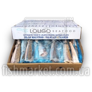 Хек тушка с/м 200-300 Loligo Seafood (FLK)