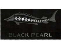 Black Pearl 