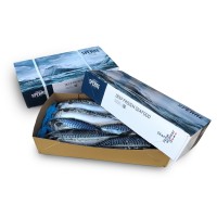 Скумбрія з/г с/м 600+ Brodrene Sperre (NOR) 10 кг Скумбрія з/г с/м 600+ Brodrene Sperre (NOR) 10 кг
