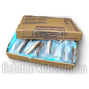 Хек тушка с/м 150-250 Solimeno (ARG)