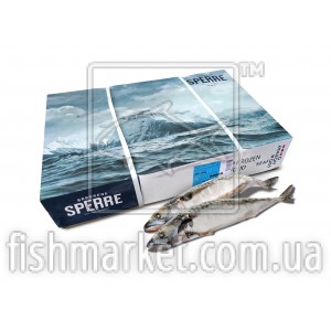 Скумбрія з/г с/м 500-600 Brodrene Sperre (NOR)