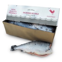 Кижуч б/г с/м 2,7-4,0 Salmones de Chile (CHL)