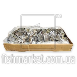 Пампаніто з/г с/м 100-300 Moscuzza (ARG) Пампаніто з/г с/м 100-300 Moscuzza (ARG)