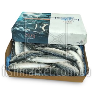 Скумбрія з/г с/м 400-600 Global Fish (NOR) Скумбрія з/г с/м 400-600 Global Fish (NOR)