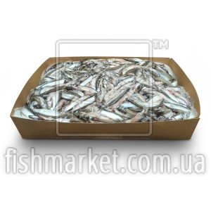 Мойва з/г с/м 25-35 Global Sales (NOR) (20 кг)