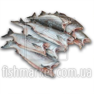 Горбуша б/г с/м Aqualine Seafoods (USA) (тот 550 кг)