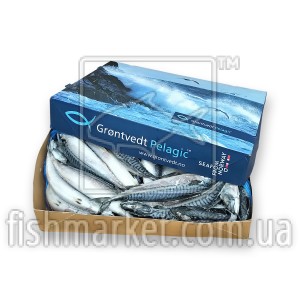Скумбрия с/г с/м 500+ Grontvedt Pelagic (NOR) Скумбрия с/г с/м 500+ Grontvedt Pelagic (NOR)