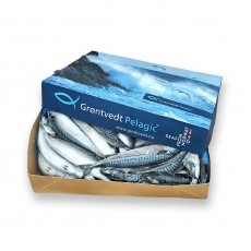 Скумбрия с/г с/м 500+ Grontvedt Pelagic (NOR)