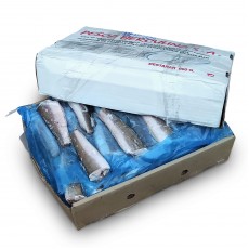 Хек тушка с/м 200-300 Pesca Herculina (ARG)