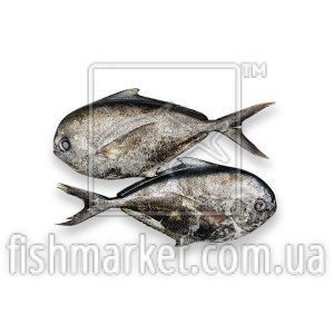 Лящ атлантичний морський с/м Лящ атлантичний морський с/м