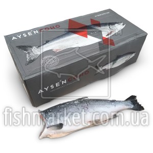 Кижуч б/г с/м 2,7-4,1 AysenCoho (CHL)