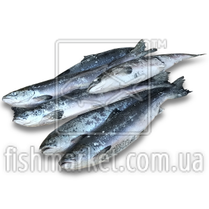 Лосось с/г с/м IQF 400-800 Walcan Seafood (CAN)