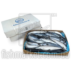 Скумбрія з/г с/м 500+ SVN (ISL) 18 кг