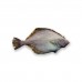 Камбала плоскоголовая с/м Alaska Paсific Seafoods (USA)