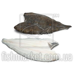 Камбала морская филе н/ш с/м