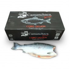 Кижуч б/г с/м 2,7-4,1 Gr.1 Camanchaca (CHL)
