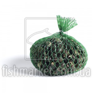 Булот в/о, Premier Seafarmers by Nature (NLD) 