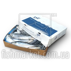 Сельдь с/г с/м 350+ VSV (ISL) (20 кг)