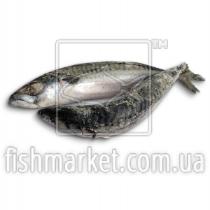 Скумбрия c/г с/м 250+ About Fish (ISL) (2*11кг)
