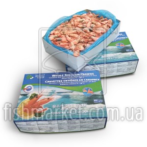 Креветка атлантическая в/м 200+ Newfound Resources Ltd. (CAN)