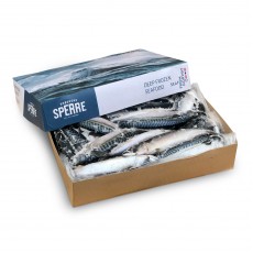 Скумбрия с/г с/м 600+ Brodrene Sperre (NOR) 20 кг