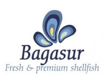 Bagasur