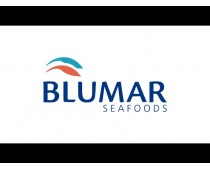 Blumar Seafoods