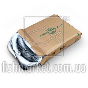 Скумбрия с/г с/м 400-600 Cornelis Vrolijk (NLD)