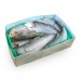 Форель 2-3 з/г с/м Dawnfresh Seafoods (GBR) Форель 2-3 з/г с/м Dawnfresh Seafoods (GBR)