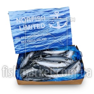 Скумбрия с/г с/м 500+ Norfish ltd (IRL)