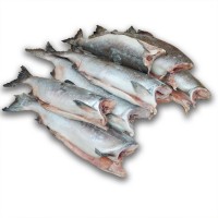 Горбуша б/г с/м Aqualine Seafoods (USA) (тот 550 кг)