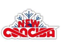 New Concisa S.L.