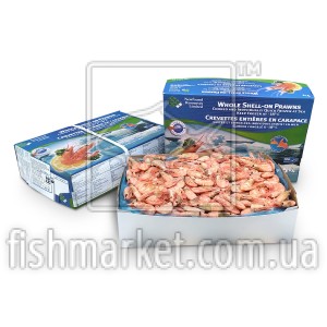 Креветка атлантическая в/м 95-125 Newfound Resources Ltd. (CAN)