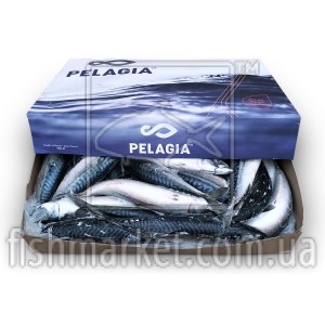 Скумбрия с/г с/м 400-600 Pelagia (GBR) Скумбрия с/г с/м 400-600 Pelagia (GBR)