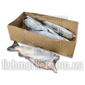 Чавыча тушка б/г с/м 1.8-3,6 Aqualine Seafoods (USA)