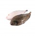 Камбала Доверсоль «Doversole», морський язик з/г, с/м 700-800