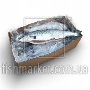 Лосось потрошеный с/г с/м 3+ ORD Norsk Sjomat (NOR)