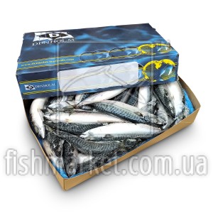 Скумбрия с/г с/м 450-600 Denholm (GBR) Скумбрия с/г с/м 450-600 Denholm (GBR)