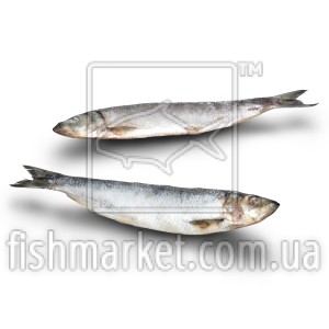 Оселедець з/г с/м 400+ Blumaris (ISL) (2x15 кг)