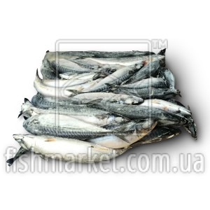 Скумбрия с/г с/м 400-600 Royal Greenland (DNK) (21 кг) Скумбрия с/г с/м 400-600 Royal Greenland (DNK) (21 кг)