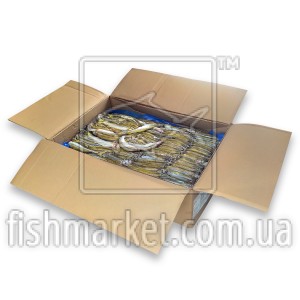 Корюшка чилійська с/м 15+ Pesquera Friosur (CHL)