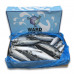 Скумбрия с/г с/м 400-600 Sean Ward (IRL) (20 кг) Скумбрия с/г с/м 400-600 Sean Ward (IRL) (20 кг)