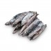 Щука с/г с/м 2,2 - 4,1 Freshwater Fish (CAN) 34 кг